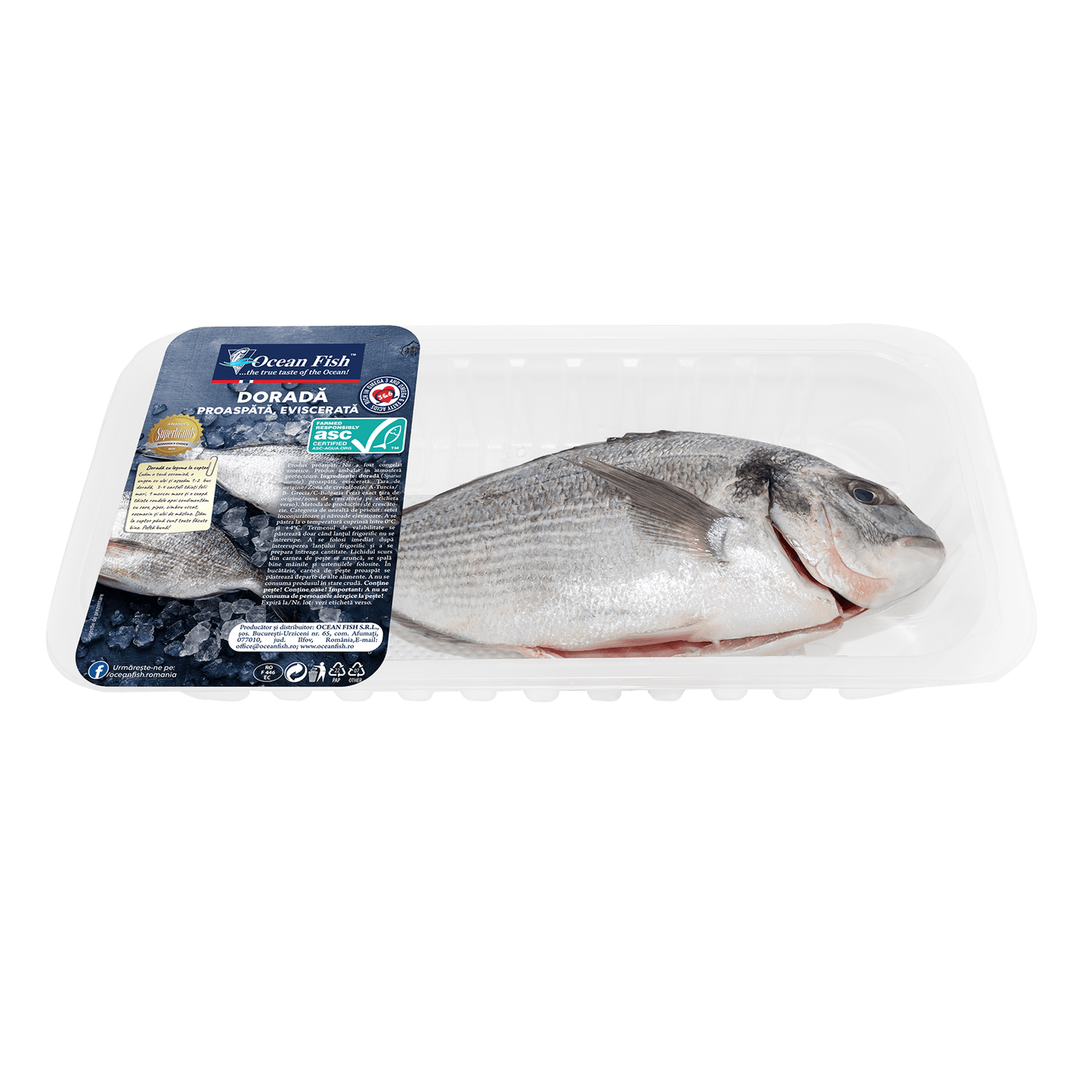 Ocean Fish Dorada Intreaga Eviscerata