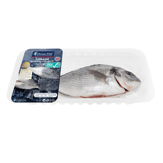 Ocean Fish Dorada Intreaga Eviscerata
