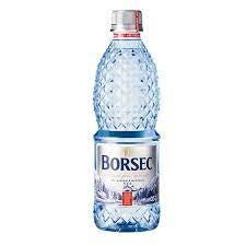 Borsec Apa Plata 0.5L